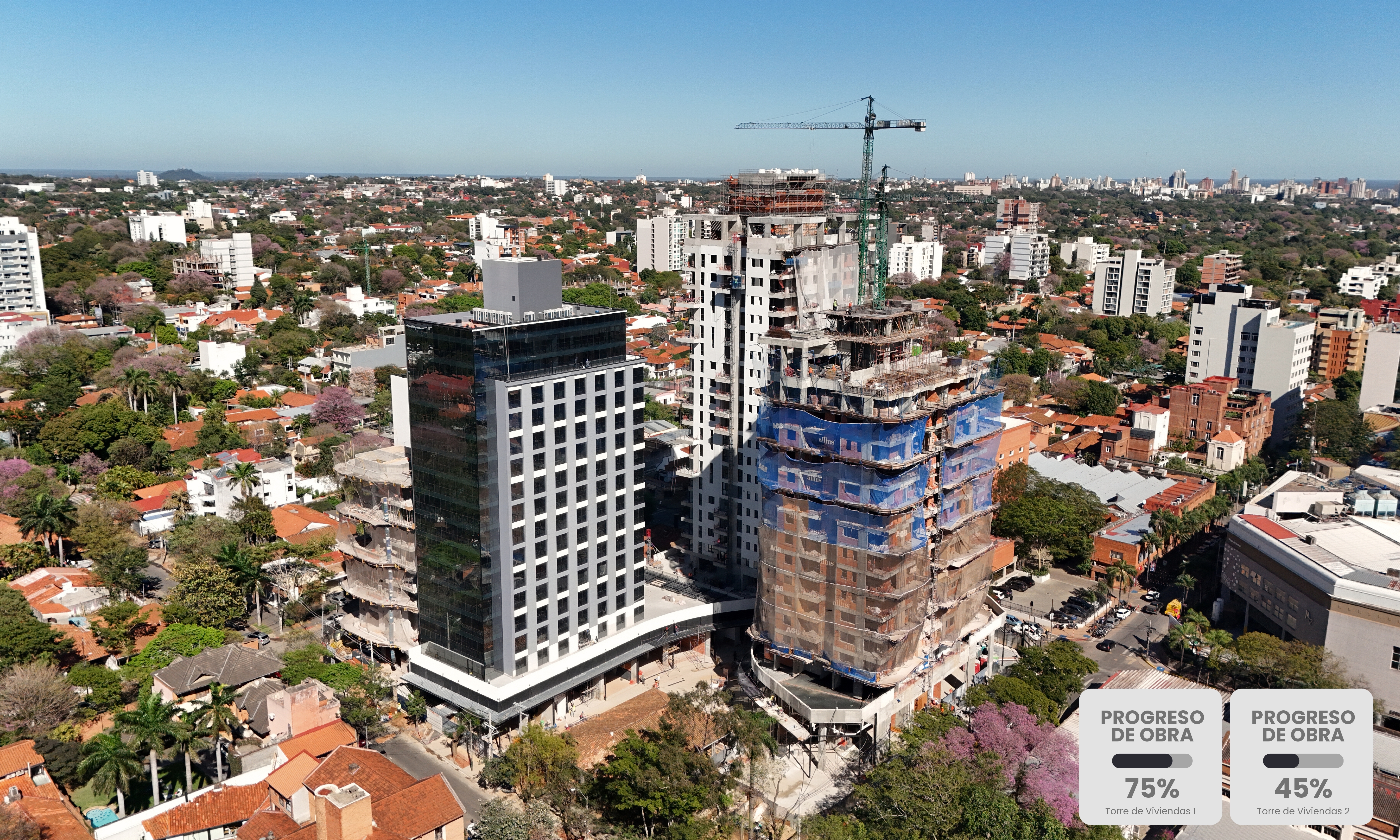 More Mariscal - Progreso